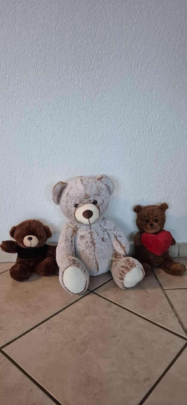 Giocattoli: Lot de 3 ours en peluche – Nuovo (secondo la descrizione) da Moutier venduto da mar_7nrw