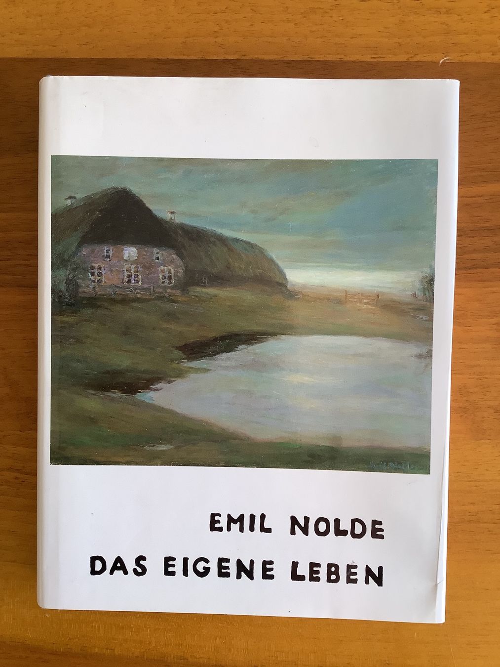 Libri: Emil Nolde - Das eigene Leben - Autobiografie – Usato da Bassersdorf venduto da F-104fan