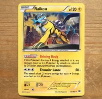 Raikou Holo Pokémon Breakthrough Promo
