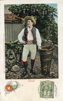 Montreux  VD  -    Recolte / Weinbauer     en  1 9 0 5