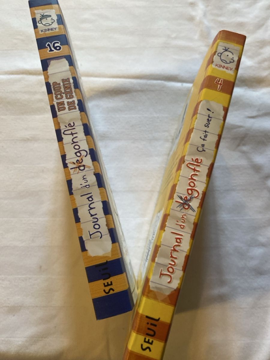 Libri: Journal d'un Dégonflé – Usato da Grandvillard venduto da pad_9hmh 1