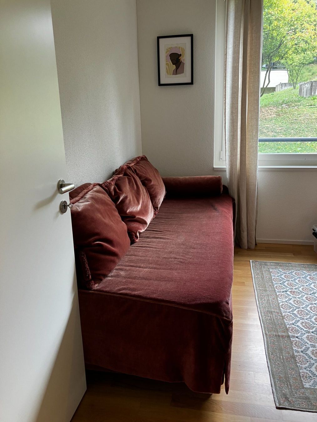 Divani: Wunderschönes Velours-Schlafsofa – Usato da Luzern venduto da sie_7nkr 1
