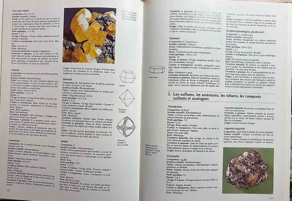 Libri: Encyclopedie des Mineraux – Usato da Adliswil venduto da Heimite 4
