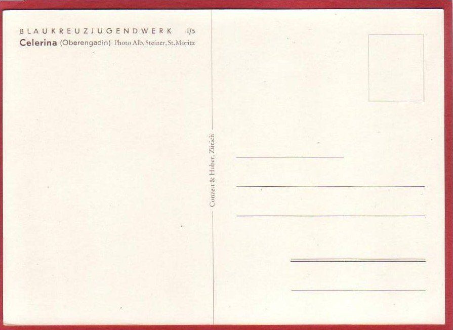 Cartoline postali: ALBERT STEINER: CELERINA, GROSSFORMAT – Usato da Grüningen venduto da Kartenlaube 1