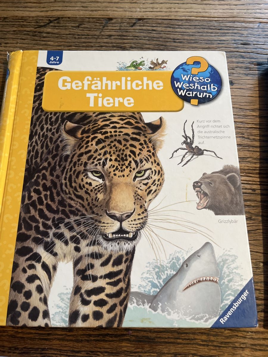 Libri: 4 Kinderbücher "Wir entdecken" von Ravensburger – Usato da Zürich venduto da leoverload 4