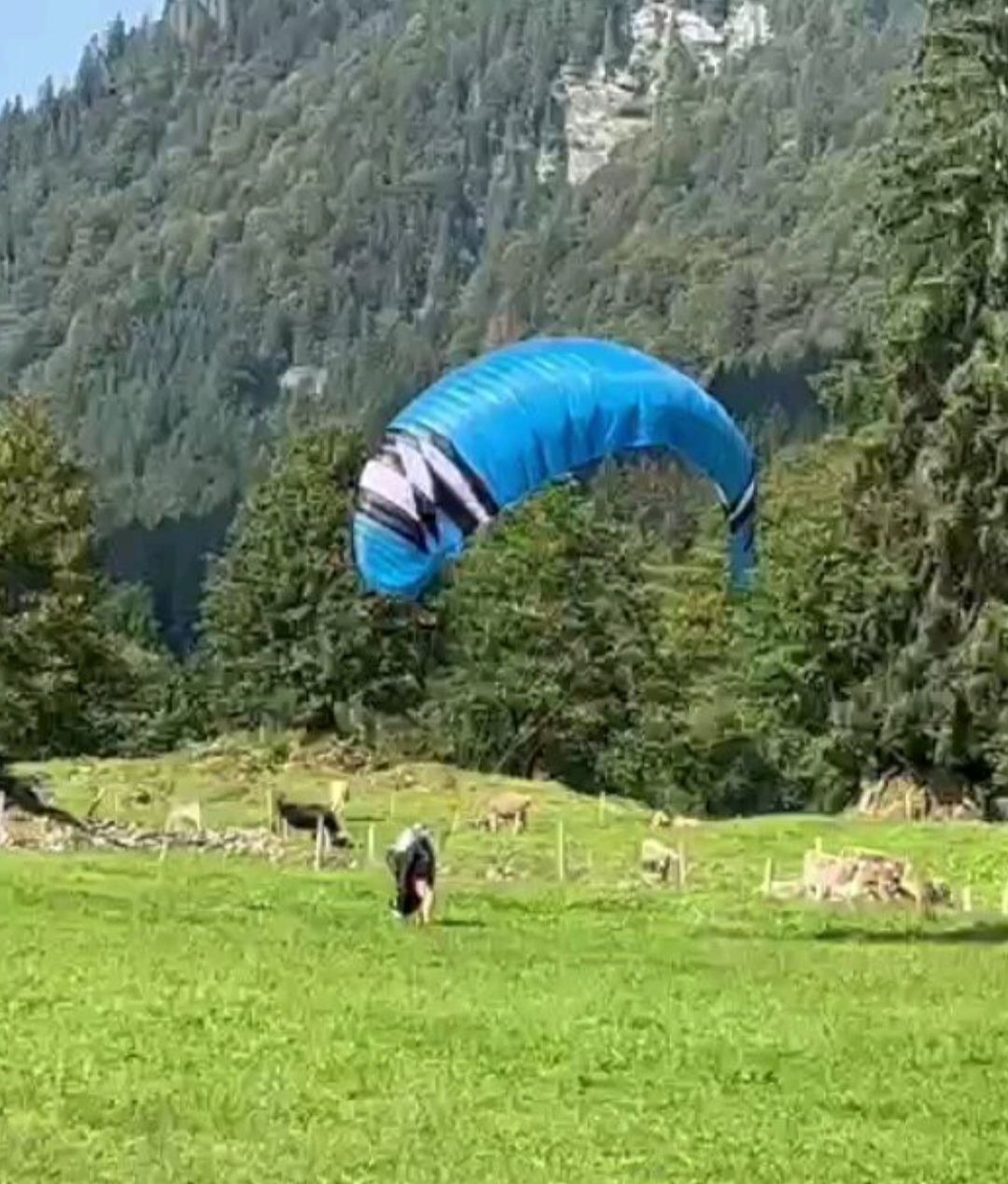 Phi Flug- & Drachensport: Phi Beat Light 23 – Gebraucht aus Niederglatt ZH von BinoPinto 2
