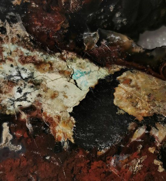 Fossili: Opalisiertes Versteinertes Holz poliert – Nuovo (secondo la descrizione) da Walenstadt venduto da vkt_qc8d 3