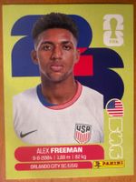 Panini USA6
