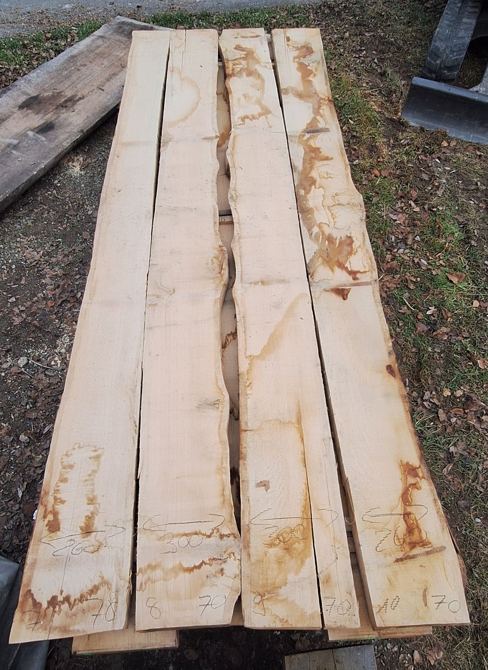 Articoli in legno: Eichenbrett 70mm,  4m Länge – Nuovo (secondo la descrizione) da Waldkirch venduto da bauprofi87 2