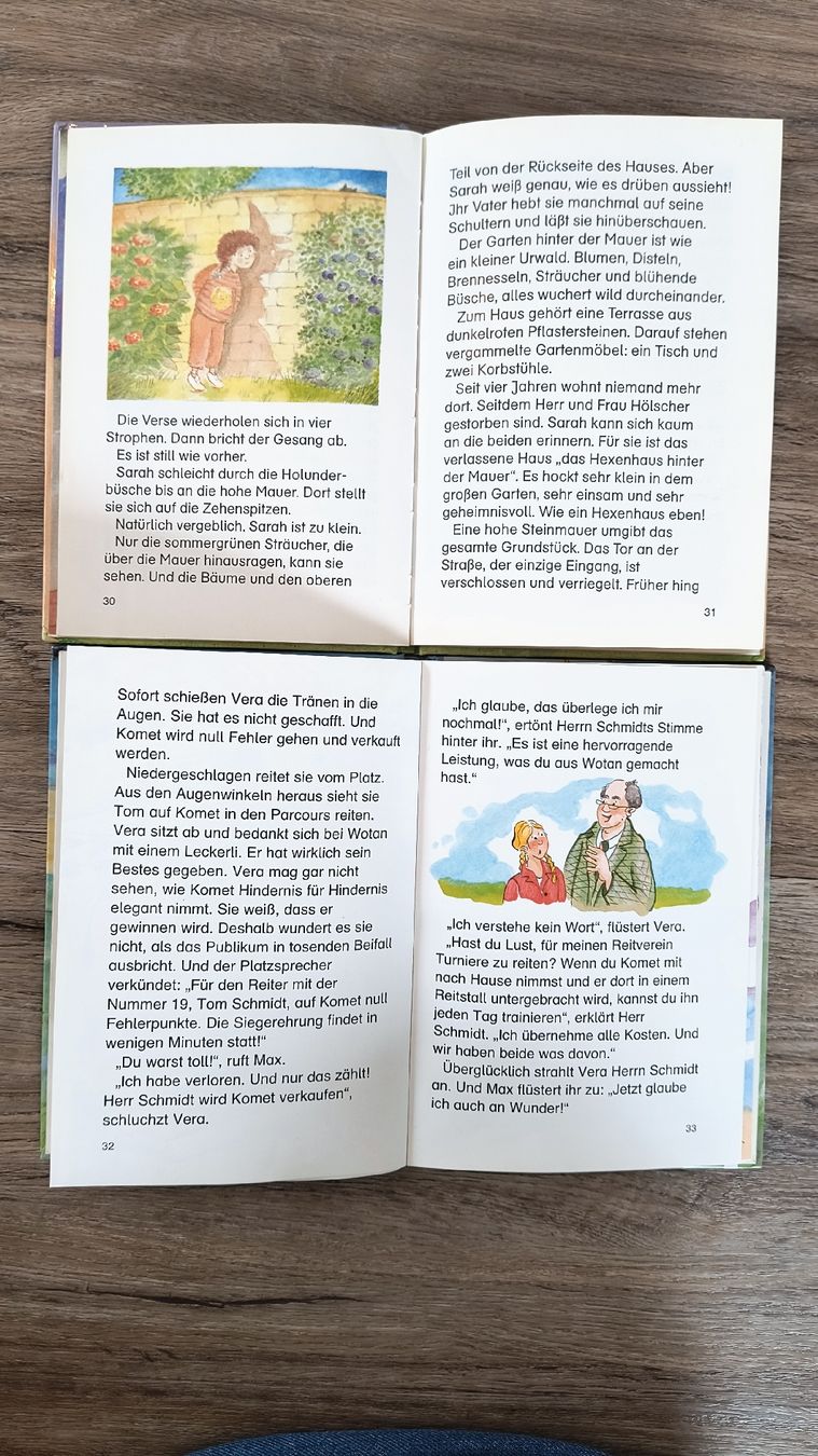 Libri: Leselöwen Bücher: Hexengeschichten & Reiterferiengeschichten – Usato da Neuenkirch venduto da ele99 2
