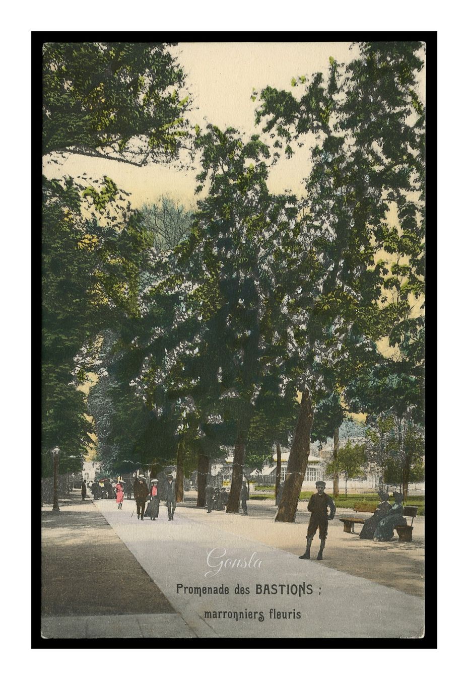 Cartoline postali: GENÈVE - 1907 "Promenade des Bastions" – Usato da Onex venduto da gonsla01