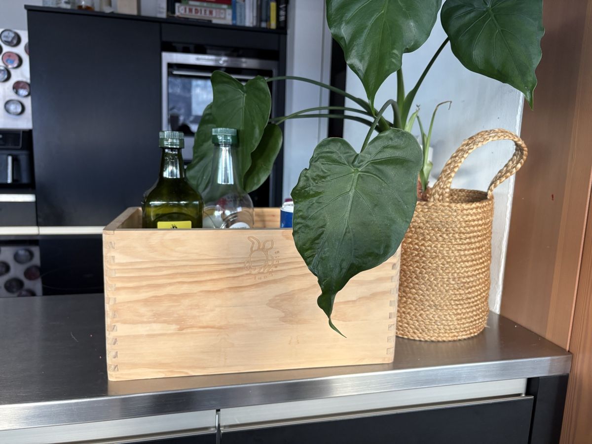 Behälter & Ähnliches: Brotbox / Holzbox / Holzkiste – Neu und originalverpackt aus Walenstadt von Rizgeb 2