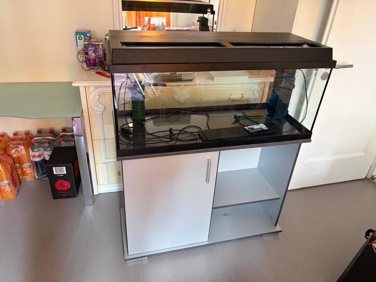 Aquarium: Aquarium  – D'occasion à Mühleberg par nai_jy2p