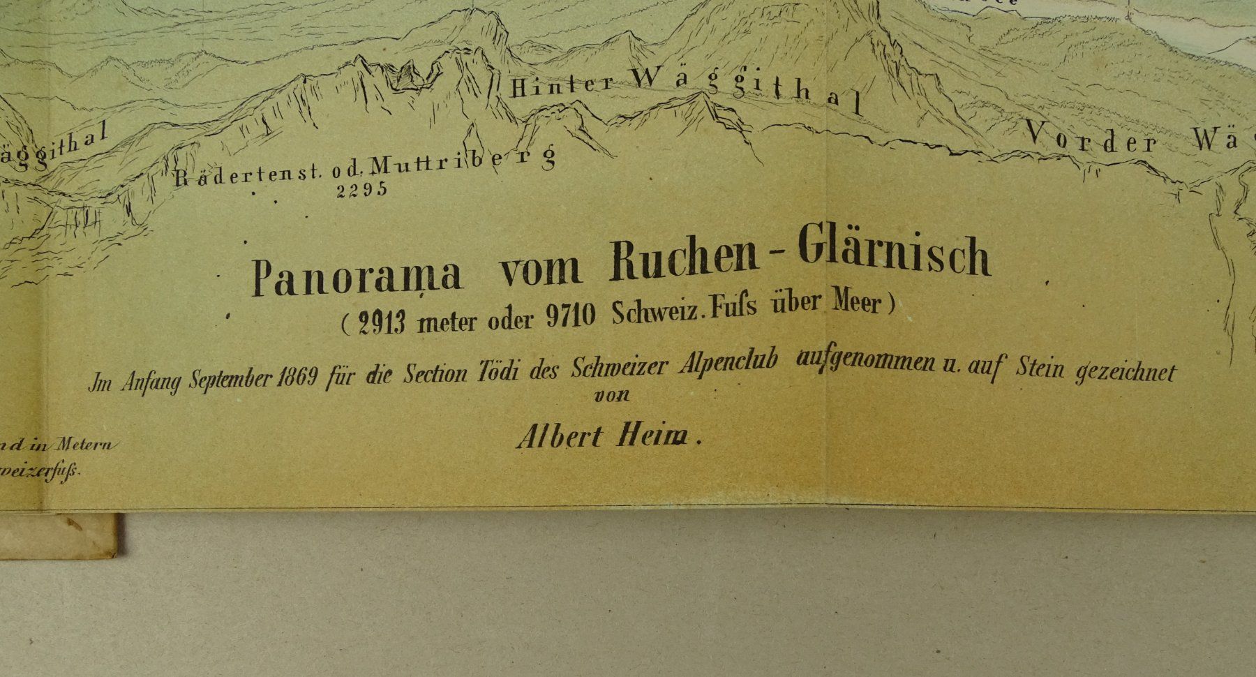 Libri: PANORAMA VOM RUCHEN GLÄRNISCH 1870 – Usato da Grüningen venduto da Kartensammler 8