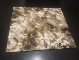 Twin Shadow - Forget - cd