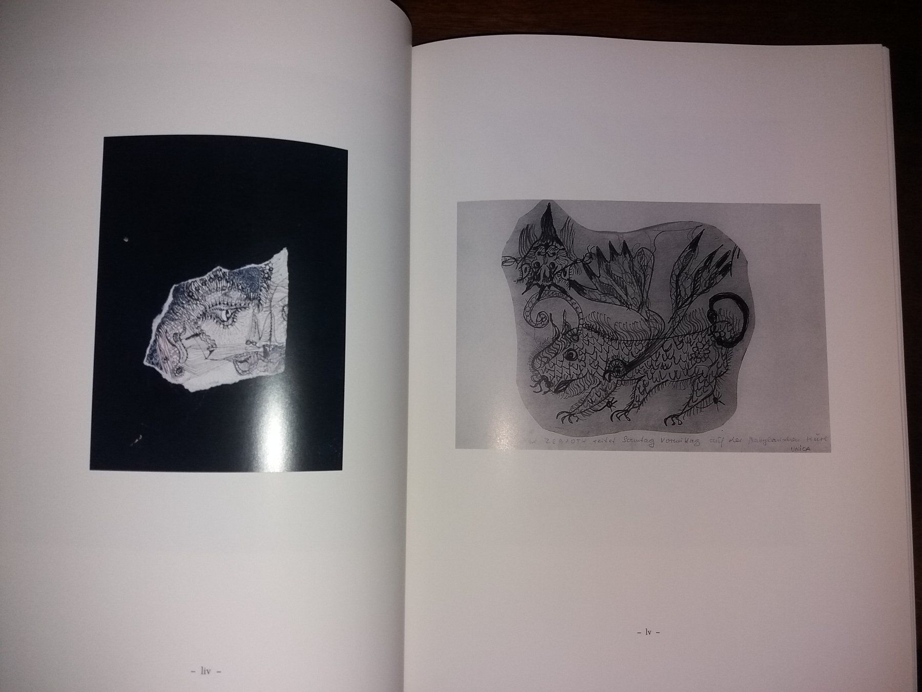 Libri: KUNSTKLASSIKER Unica Zürn BILDER selten – Usato da Welschenrohr venduto da Regool 2