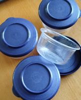 Tupperware kleine Vorratsdose 4 Stück blau Tischserie 