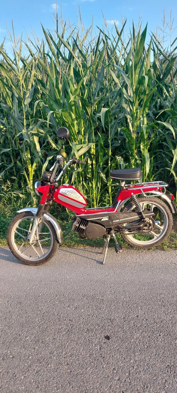 Pony Mofas: Mofa Pony – Gebraucht aus Giswil von Stocki02 7