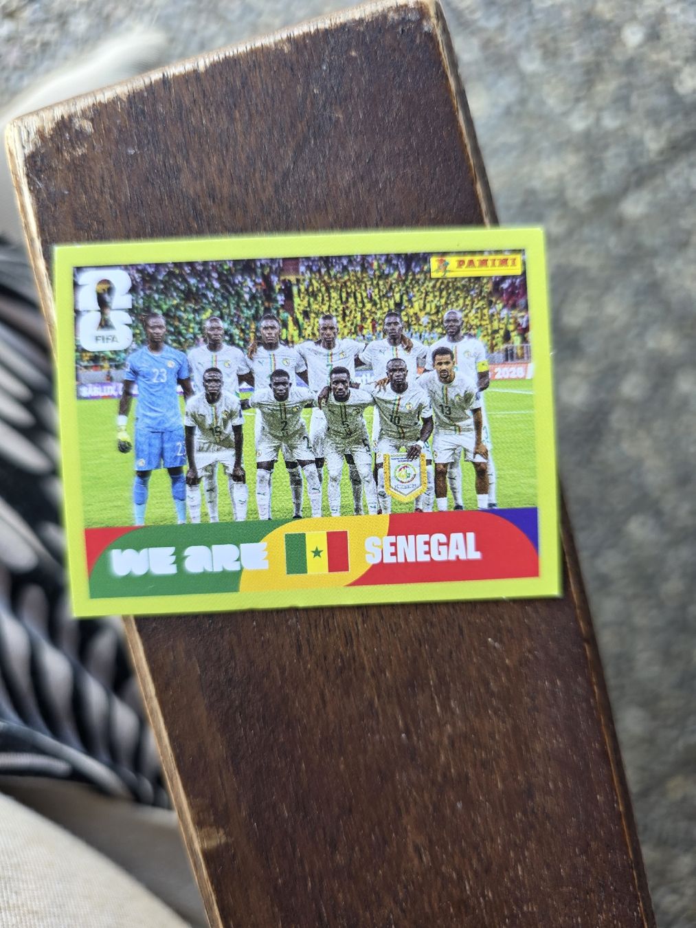 Panini Carte collezionabili: Panini SEN 13 Mannschaftsbild – Nuovo (secondo la descrizione) da Romanshorn venduto da leeh78