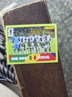 Panini SEN 13 Mannschaftsbild