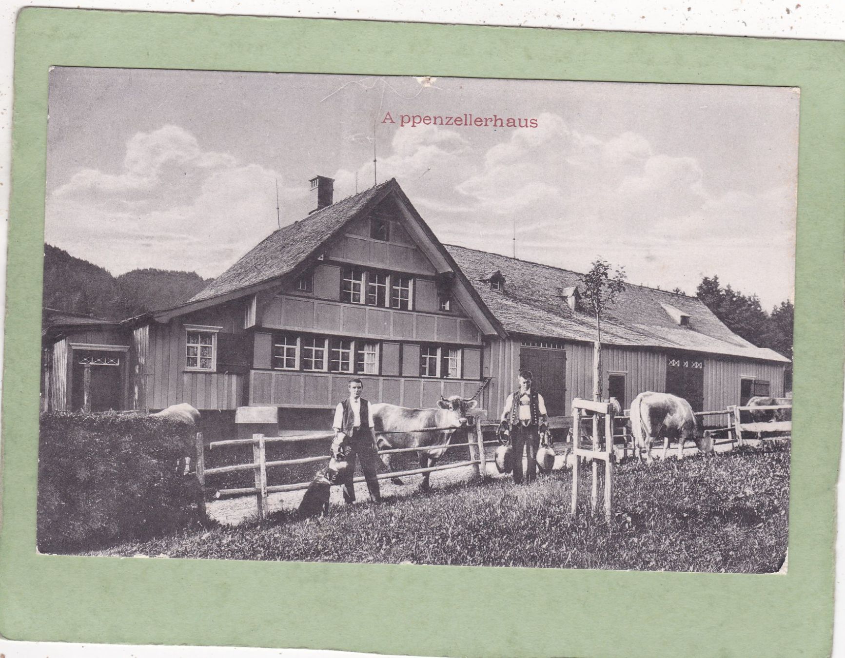 Cartoline postali: Appenzellerhaus – Usato da Herisau venduto da Lisegrat2008