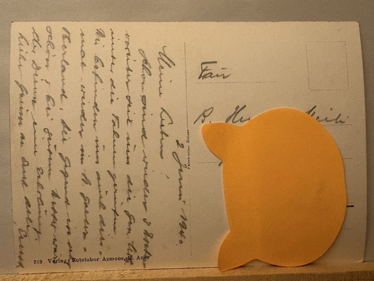 Cartoline postali: AK von Kinderheim am Alvier – Usato da Rümlang venduto da Kartenpost1 1