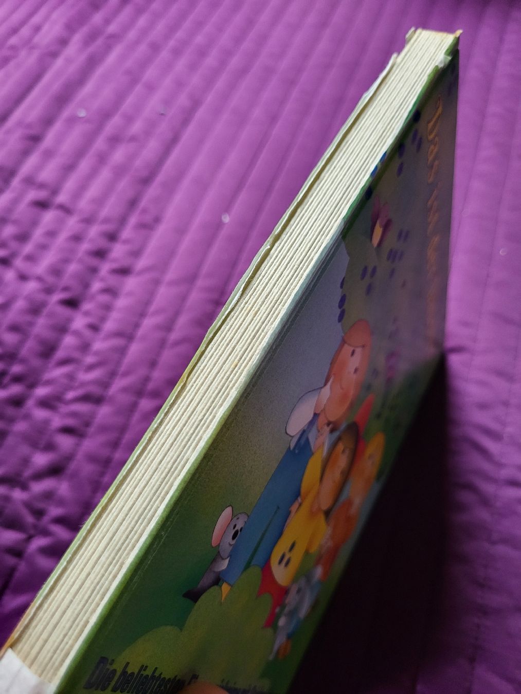 Bücher: Bücherpaket Kinderbücher – Gebraucht aus Kandersteg von sli_7 4