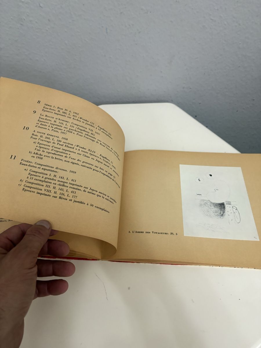 Libri: Rare livre Joan Miró – Usato da petit lancy venduto da FerreiraLuis 5