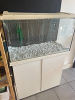 Aquarium 110 Liter inkl Zubehör