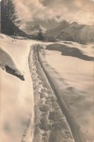 Grächen (VS) Winterlandschaft