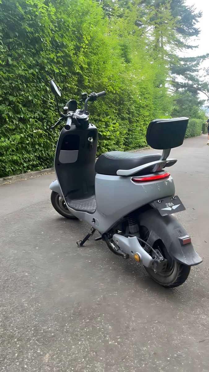 Scooters: E- Roller Zilla Loki – D'occasion à Zürich par fulma 2
