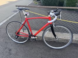Amerikanisches Rennrad Novara Pro Road M