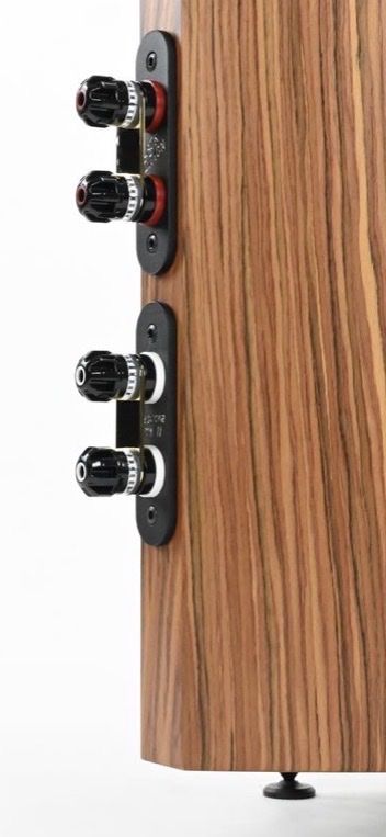 Casse acustiche: Gauder Vescova MKll Black Edition – Usato da Mont-sur-Lausanne venduto da Bluesix6 2