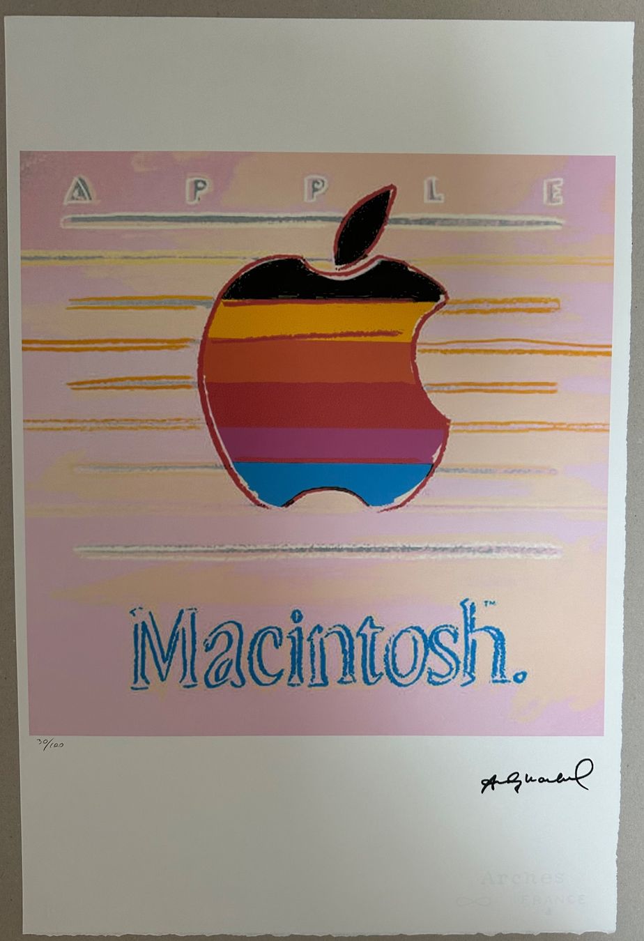 Dipinti: Warhol: Macintosh, POP Art, 30/100 – Nuovo (secondo la descrizione) da Meilen venduto da Smgdesign
