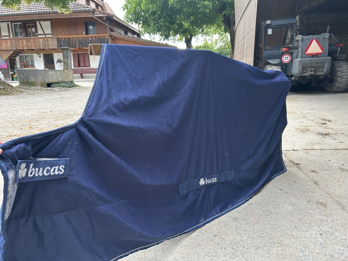 Decken: Bucas Pferdedecke 155cm – Gebraucht aus Bolligen von AndyBern 1