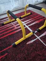 Lebert Fitness Parallettes neuwertig