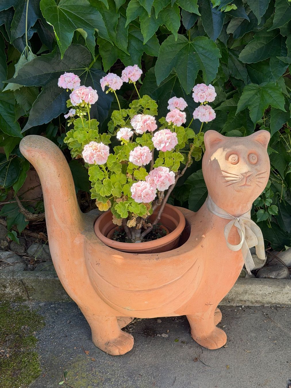 Blumentöpfe: Grosse Katze Blumentopf aus Terrakotta – Gebraucht aus Port von Griwa