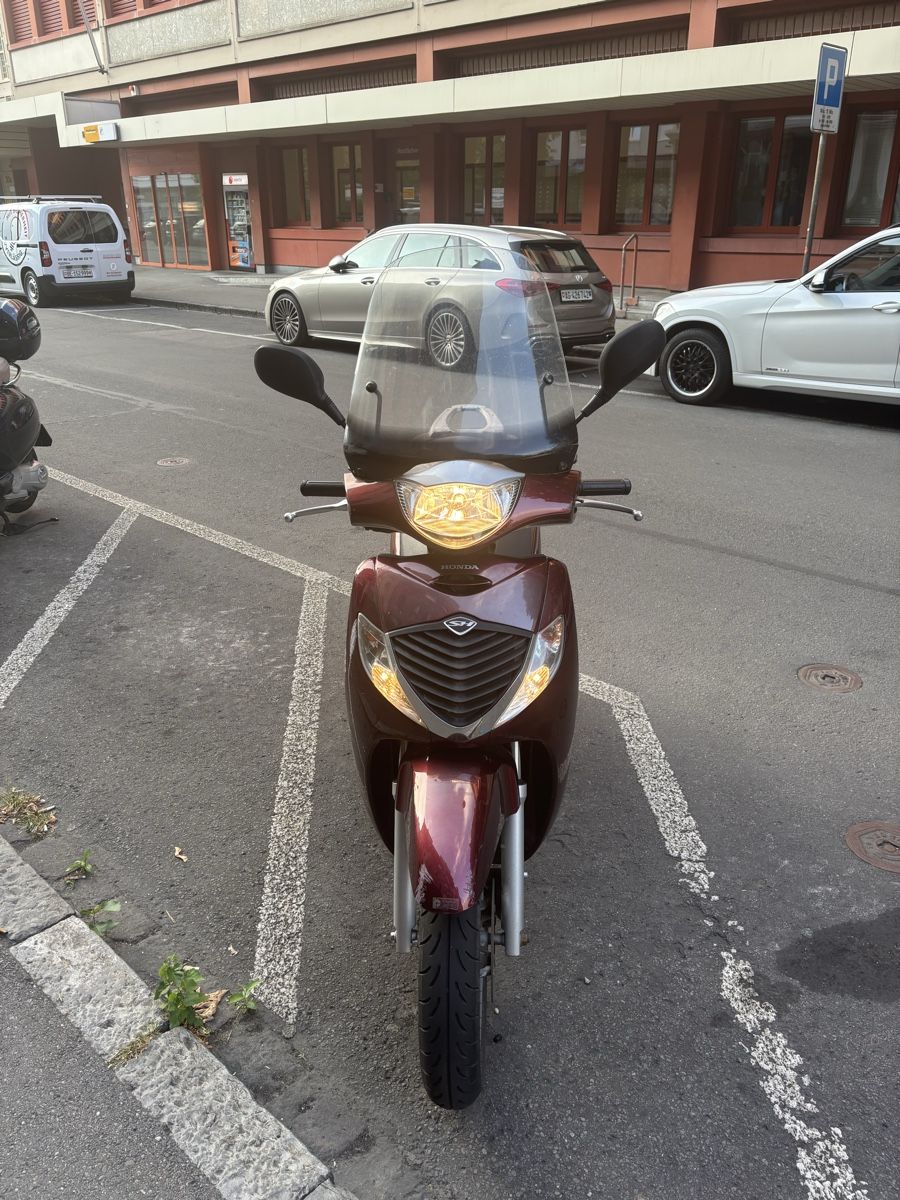 Honda Scooters: Roller Honda SH125 – Gebraucht aus Bern von morillore 1