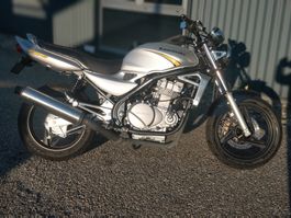 Kawasaki ER-5, frisch MFK 23.9.2026
