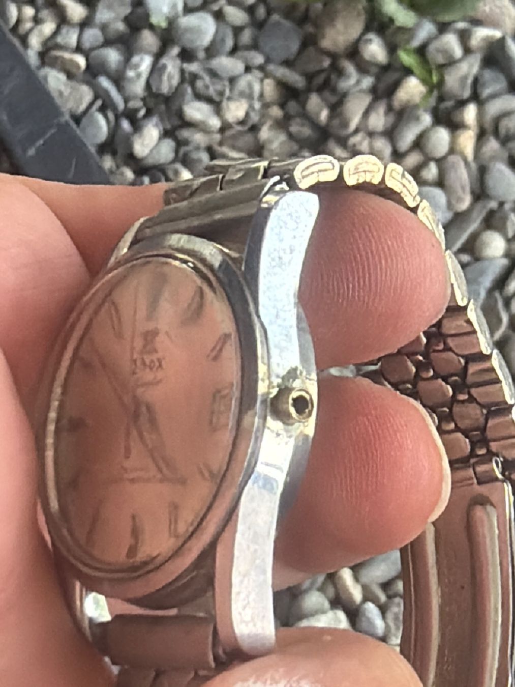 Edox Montres: Edox Hidromatic Kingstar – Défectueux à Schlieren par Luxury.Time 1
