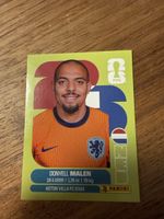 Panini Fifa NED 18