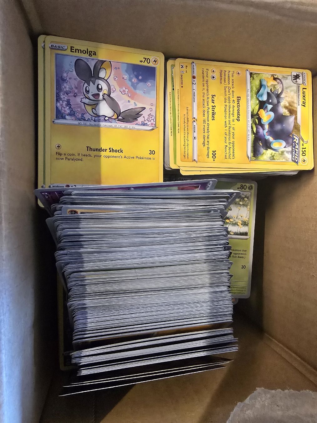 Pokémon Carte collezionabili: Bulk pokemon EN – Nuovo (secondo la descrizione) da Olten venduto da Pokemon2all 2