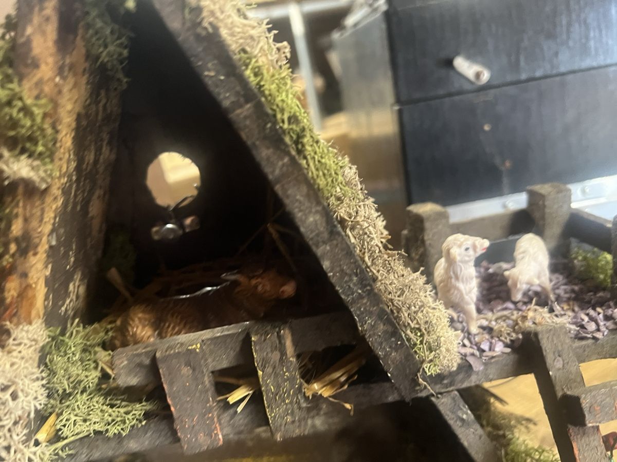 Toutes les décorations: Weihnachtskrippe Figuren Holz beleuchtet gebrauchter – D'occasion à Dittingen par Bellevista 8
