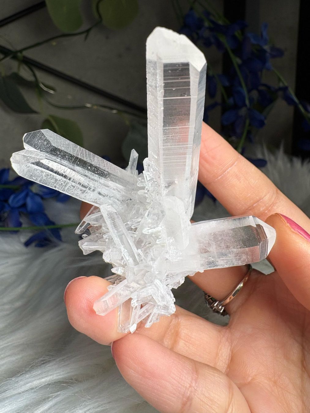 Mineralien & Heilsteine: Kolumbianischer Lemurian-Quarz-Cluster – Neu (gemäss Beschreibung) aus Neuheim von m.hald 1