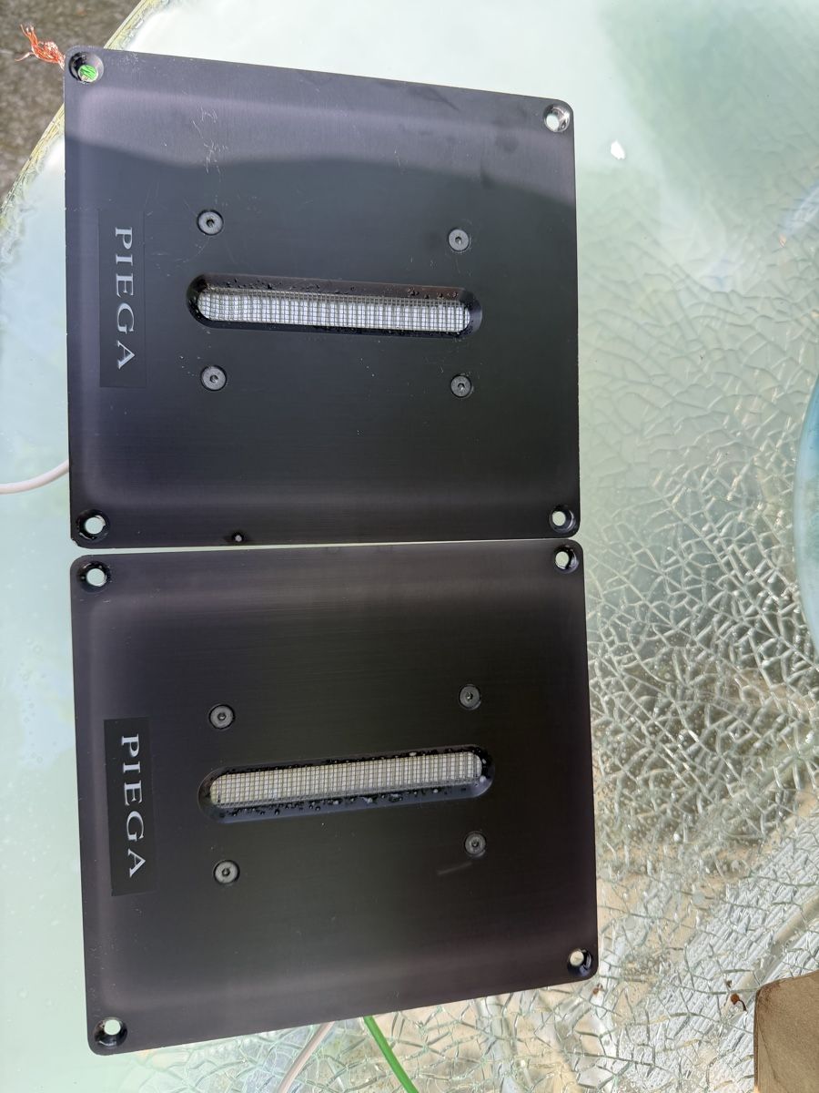 Piega Casse acustiche: 2 x Piega Hochtöner LDS 2.0  Top – Usato da Trimbach venduto da SABO-61