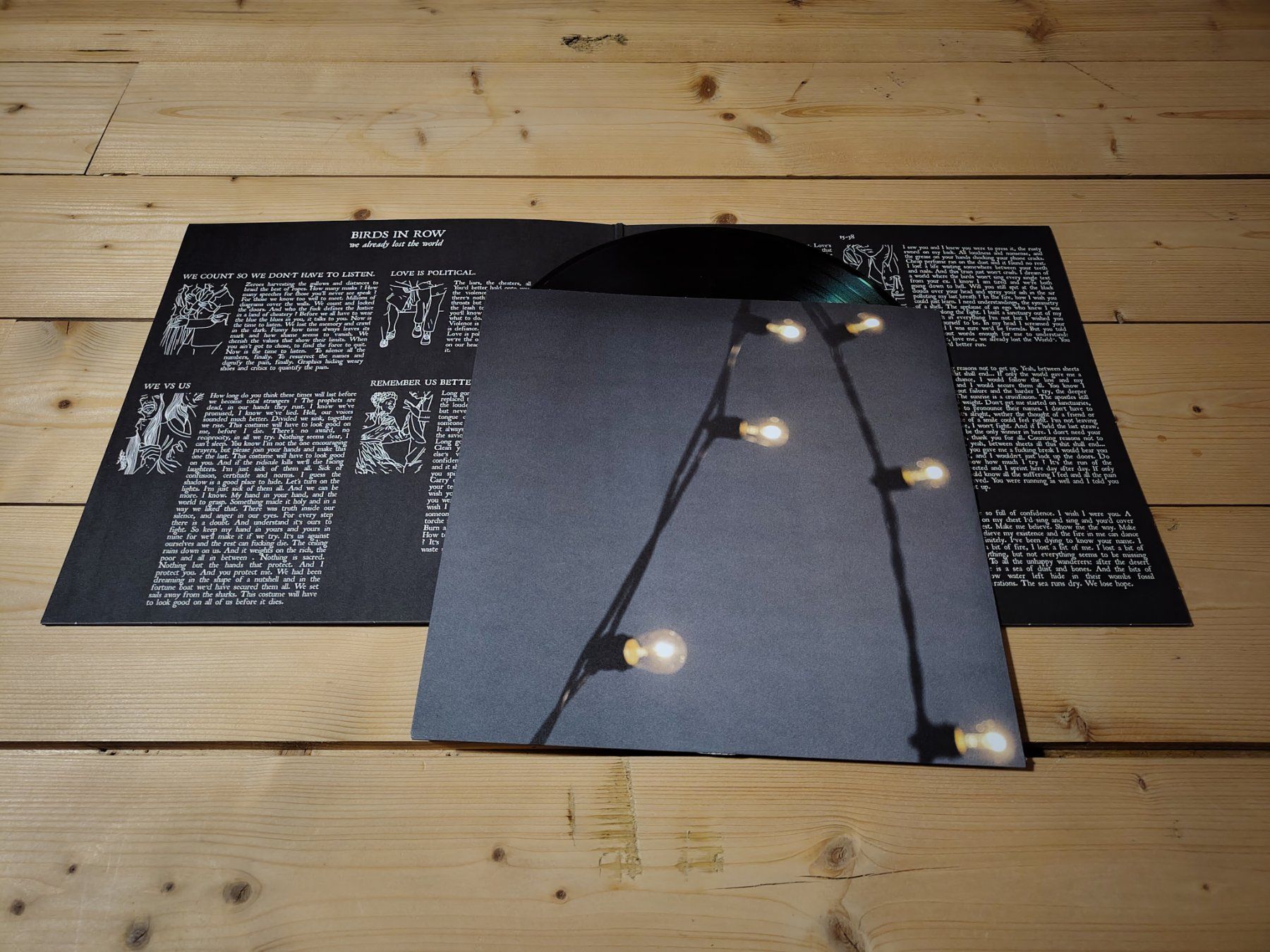 Schallplatten: Birds In Row - We Already Lost The World – Gebraucht aus Wasterkingen von Palu17 1