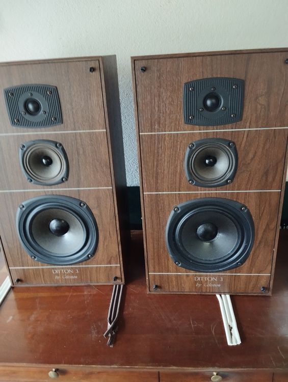 Enceintes vintage Ditton Celestion (Gebraucht) in Pully für