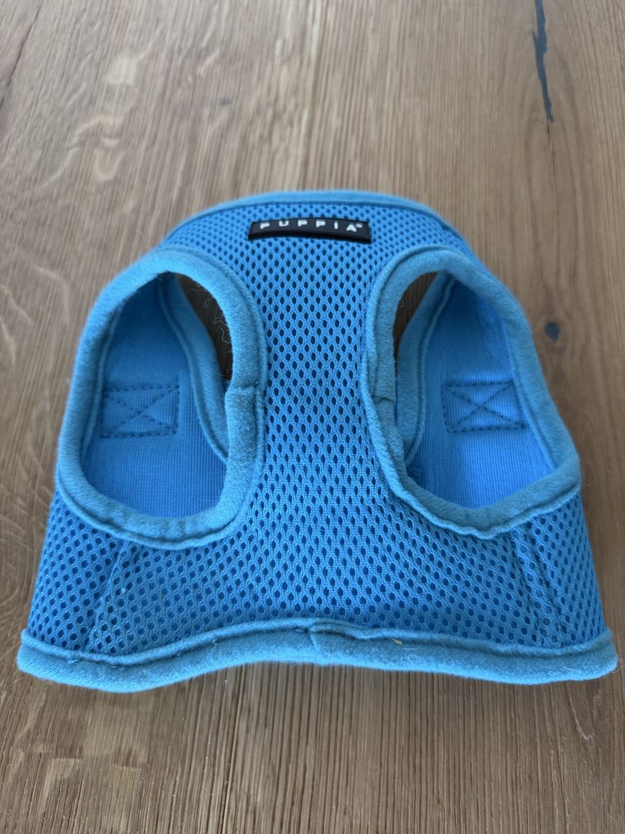 Leine & Halsband: Blue Puppia Dog Harness – Gebraucht aus Altendorf von Angie__Z