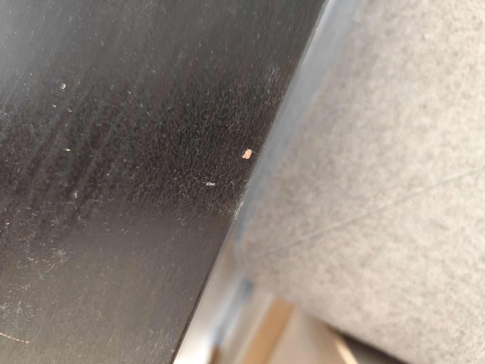 Ikea Scaffali: Kallax Regal schwarz – Usato da Dübendorf venduto da Rebeline 3