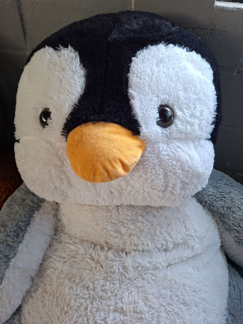 Spielzeuge: Plüschtier Teddybär und Pinguin Set – Gebraucht aus Oberhasli von Cortina 2